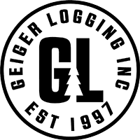 Geiger Logging